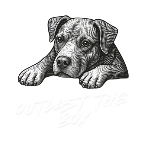 Break A Box